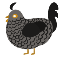 A grey and sable chicken with a lace pattern