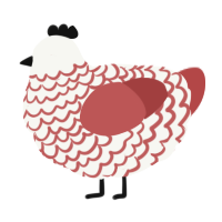 A white and red chicken with a lace pattern