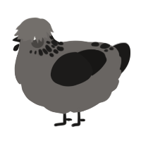 A grey and sable chicken with a neck-speckle pattern