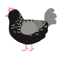 A sable and ash chicken with a half-lace pattern