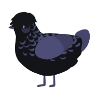A sable and overcast chicken with a half-lace pattern