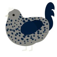 Ink, a ash and tumblr chicken with a speckle pattern