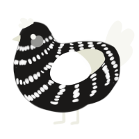 A sable and white chicken with a bar pattern