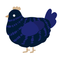 A tumblr and navy chicken with a bar pattern