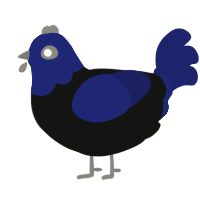 A black and navy chicken with a head pattern