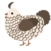 A cream and bark chicken with a lace pattern