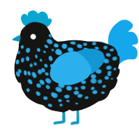 A black and sky chicken with a speckle pattern