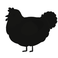 A black chicken with a head pattern