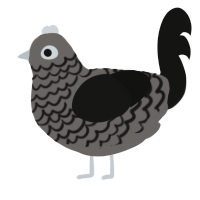 A grey and black chicken with a lace pattern