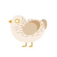 A cream and beige chicken with a half-lace pattern
