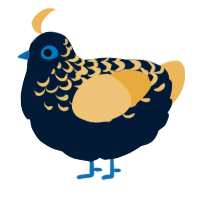 A tumblr and honey chicken with a half-lace pattern