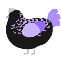 A sable and lilac chicken with a half-lace pattern