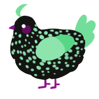 A black and spring chicken with a speckle pattern