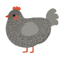 A grey and ash chicken with a double-lace pattern