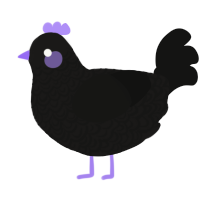 A sable and black chicken with a double-lace pattern