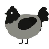 A ash and black chicken with a head pattern