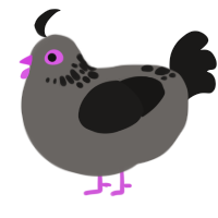 (unnamed), a grey and sable chicken with a neck-speckle pattern