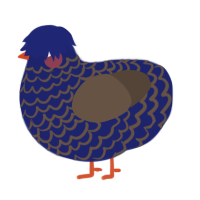 A navy and bark chicken with a lace pattern
