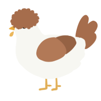A white and brown chicken