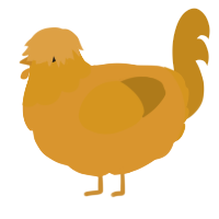 A orange and ochre chicken with a head pattern