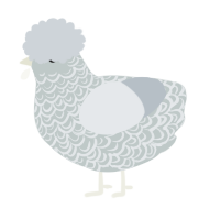 A silver and mist chicken with a double-lace pattern