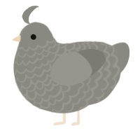 A ash chicken with a lace pattern