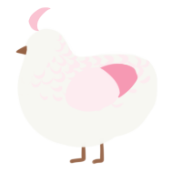 A white and rose chicken with a half-lace pattern