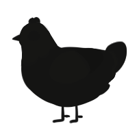 A black chicken with a head pattern