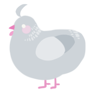 A mist chicken with a neck-band pattern