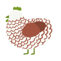 A white and russet chicken with a lace pattern