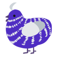 A indigo and mist chicken with a bar pattern