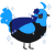 A sable and sky chicken with a head pattern