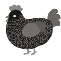 A sable and grey chicken with a double-lace pattern