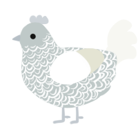 A silver and white chicken with a double-lace pattern