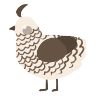 A cream and bark chicken with a lace pattern