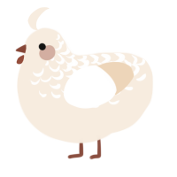 A cream chicken with a half-lace pattern