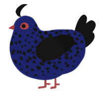 A navy and black chicken with a speckle pattern