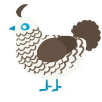 A white and bark chicken with a lace pattern