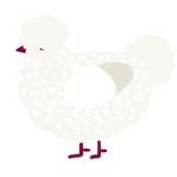 A white chicken with a speckle pattern