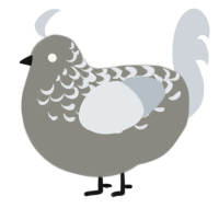 A ash and mist chicken with a half-lace pattern