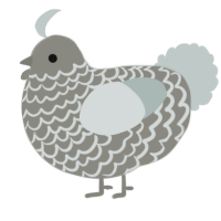 A ash and silver chicken with a lace pattern