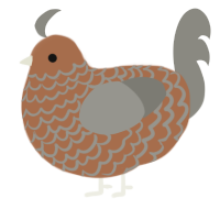 A brown and ash chicken with a lace pattern