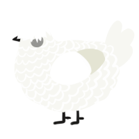 A white chicken with a lace pattern
