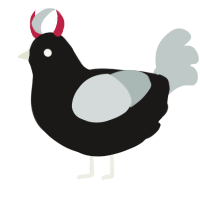A sable and silver chicken