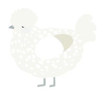 A white chicken with a speckle pattern