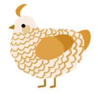 A cream and orange chicken with a lace pattern