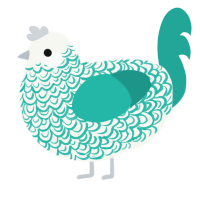 A white and turquoise chicken with a double-lace pattern