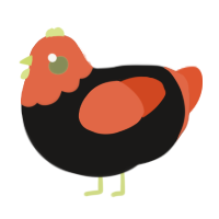 Halloweenie, a sable and vermilion chicken with a head pattern