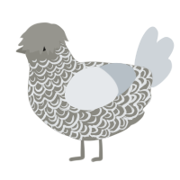 A ash and mist chicken with a double-lace pattern