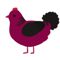 A maroon and sable chicken with a neck-band pattern